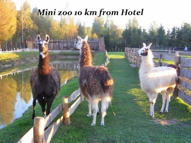Hotel Pajurio Vieskelis Klaipėda Extérieur photo
